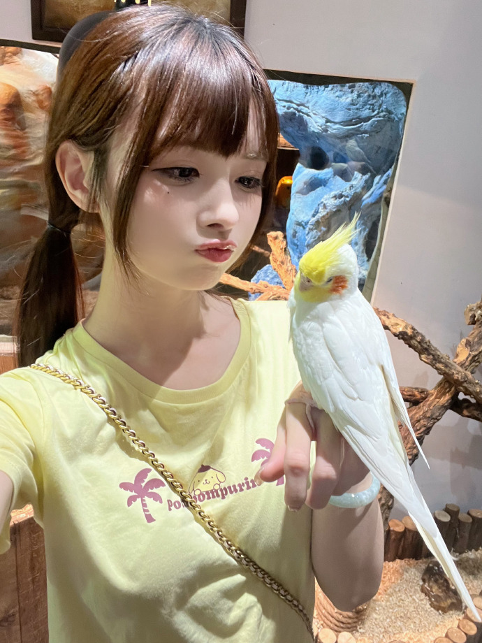 年会不能停 封面
